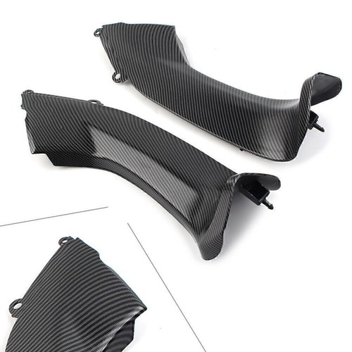 Carbon ram air verkleidung - carbon,