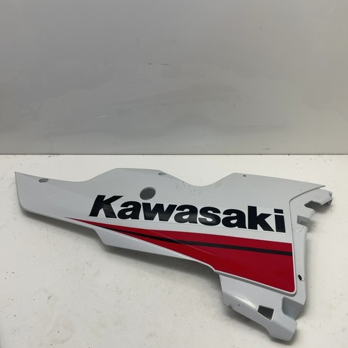 Kawasaki ninja 10r - kawasaki,